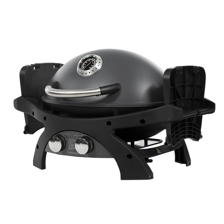 Pit Boss 2 Portable Gas Grill | Pit Grills
