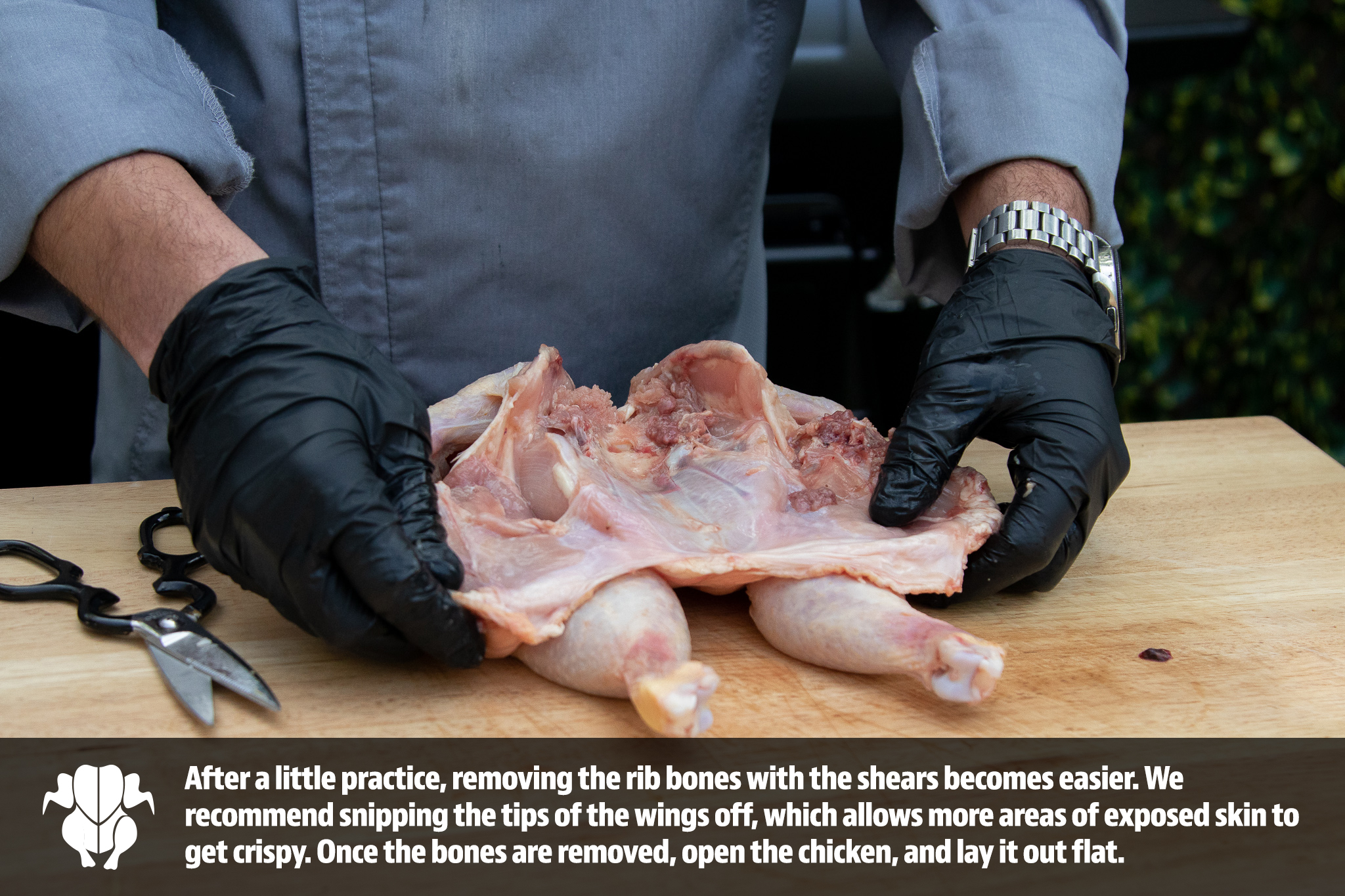How To Butcher a Chicken With a Pair of Scissors